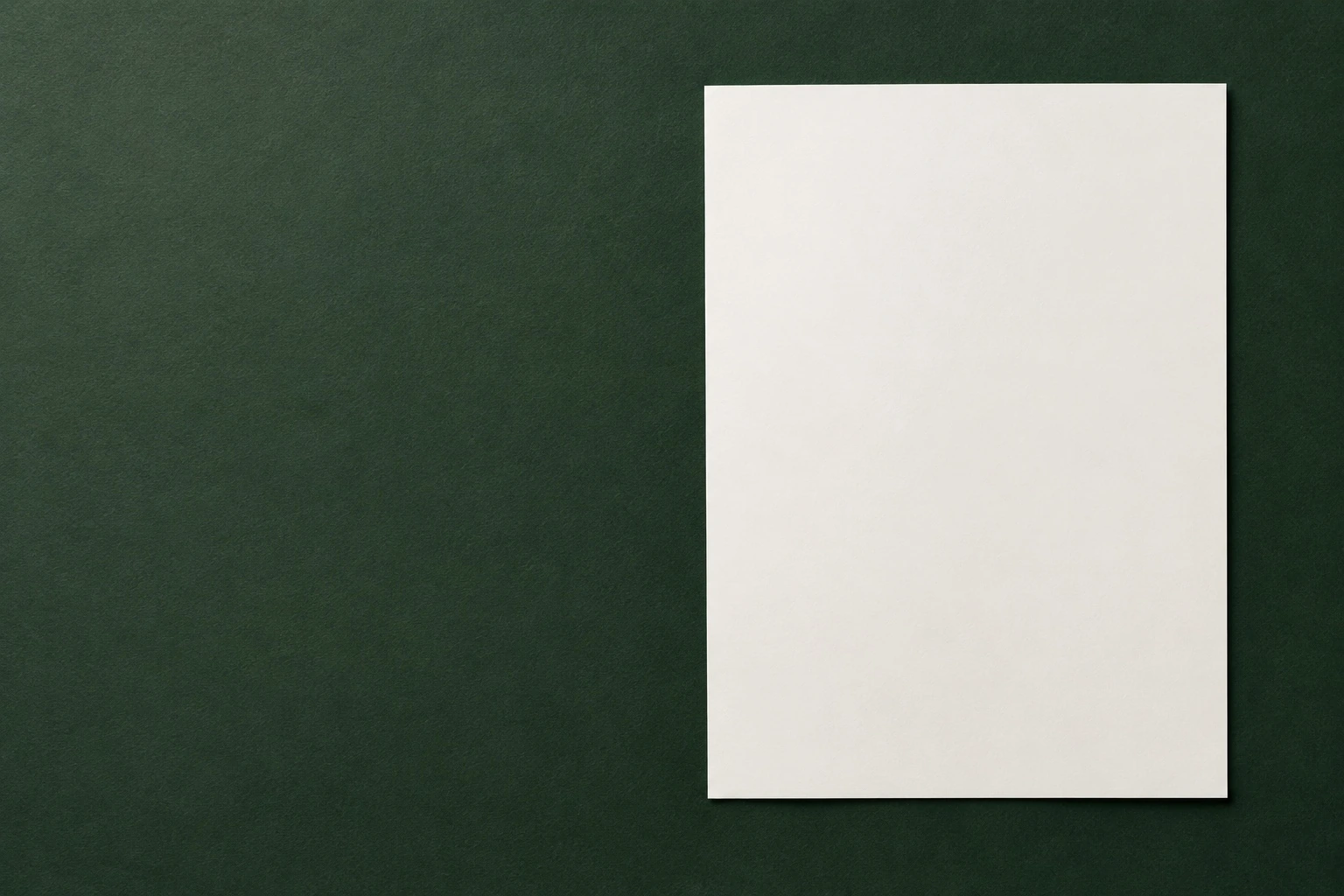Conceptual document display mockup
